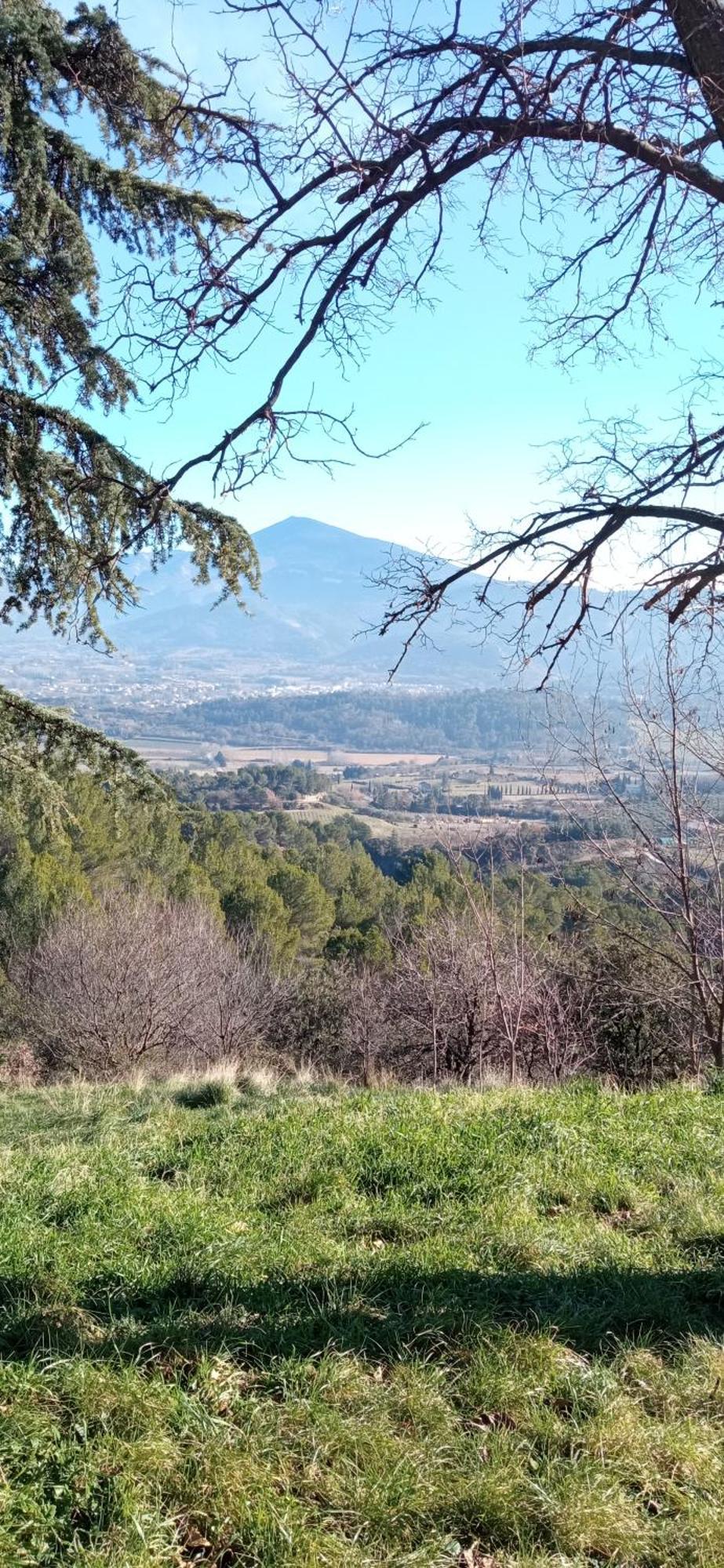 Studio Tout Confort En Provence Mont Ventoux. Bedoin Exterior photo